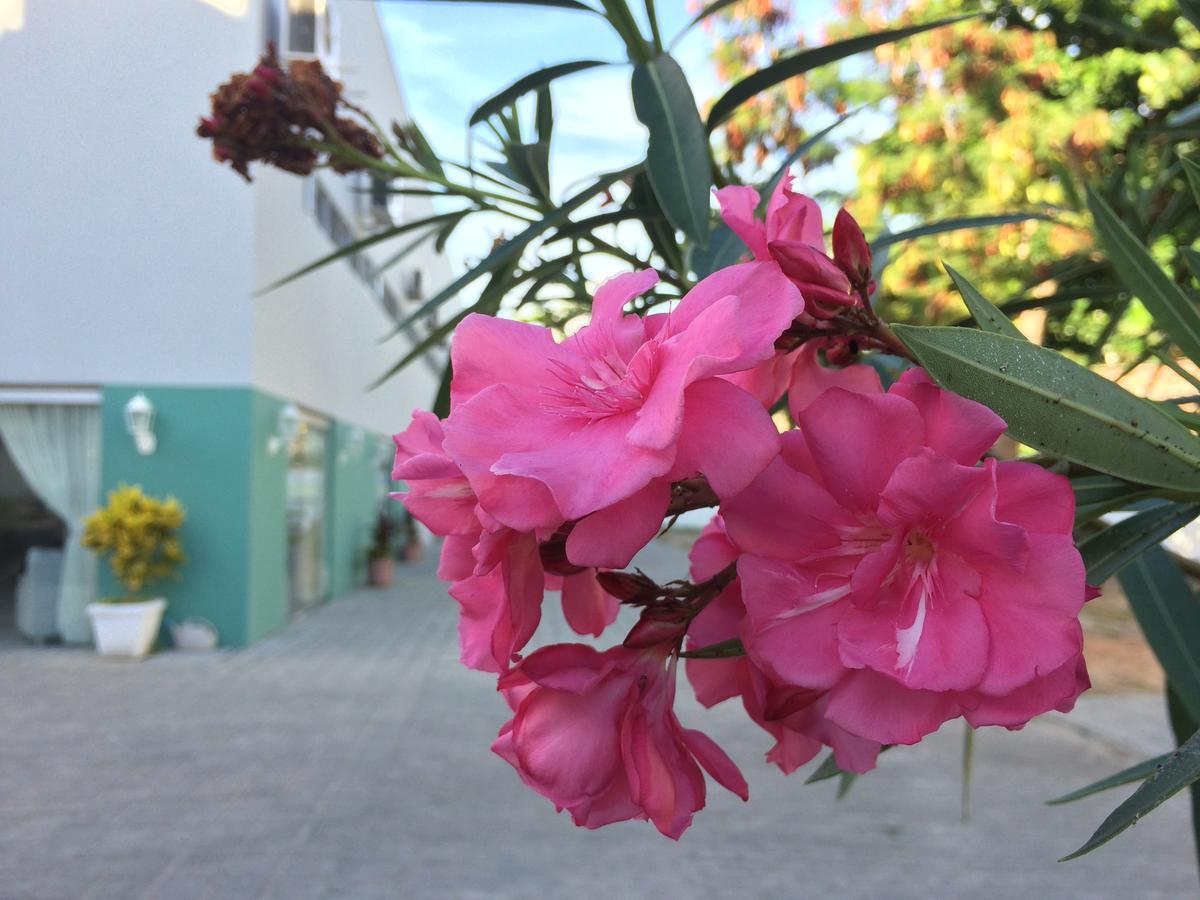 Scenarium Hotel Jaboatao dos Guararapes Exterior foto